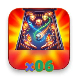 x06